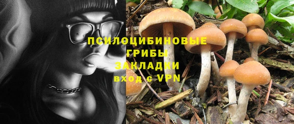 прущая мука Абаза