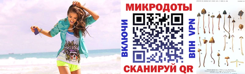 Галлюциногенные грибы Psilocybine cubensis Агрыз