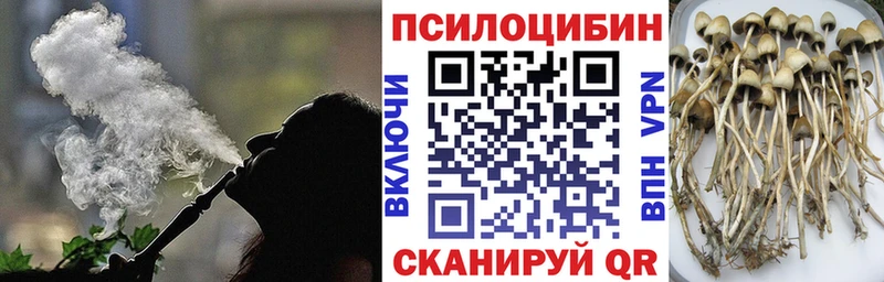где купить наркоту Агрыз Псилоцибиновые грибы Magic Shrooms